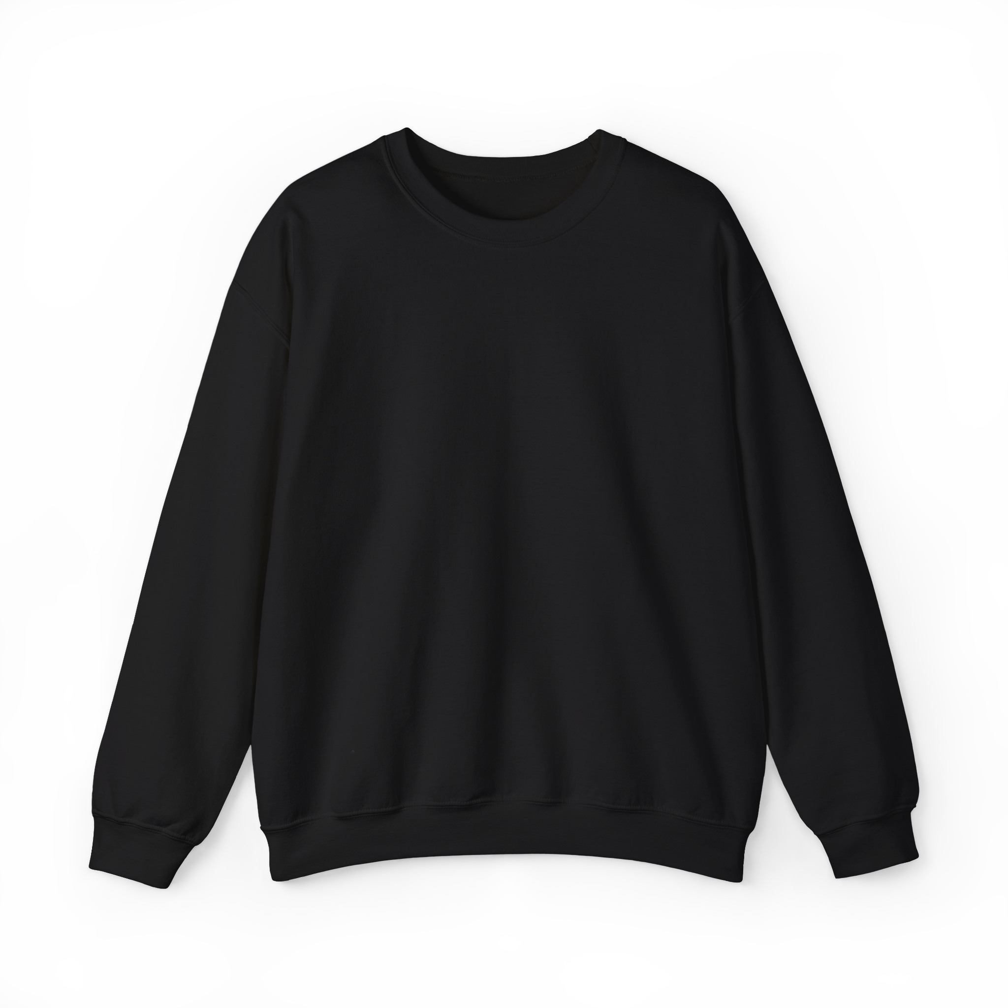 STRAY Sweatshirt